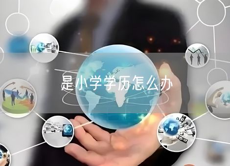 是小学学历怎么办 是小学学历怎么办