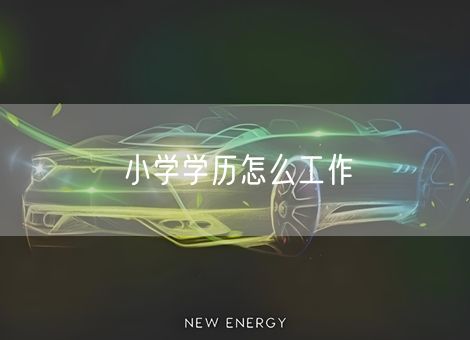 小学学历怎么工作