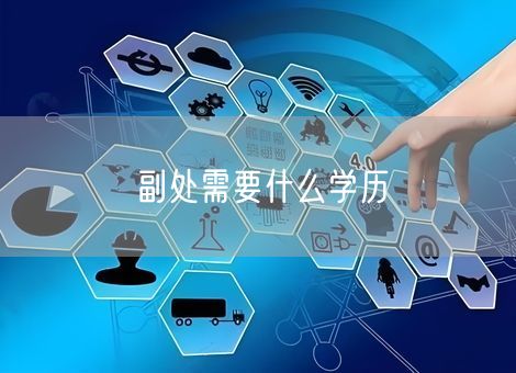 副处需要什么学历